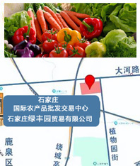 地图位置